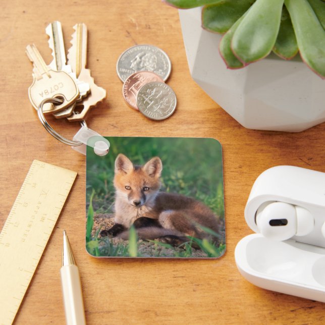 Cutest Baby Animals | Red Fox Kit Relaxing Key Ring (Desk)