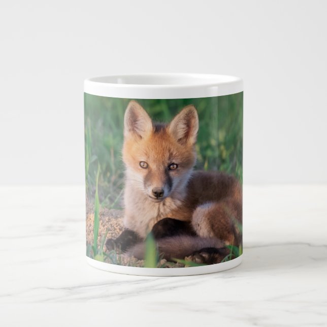 Cutest Baby Animals | Red Fox Kit Relaxing Large Coffee Mug (Front)