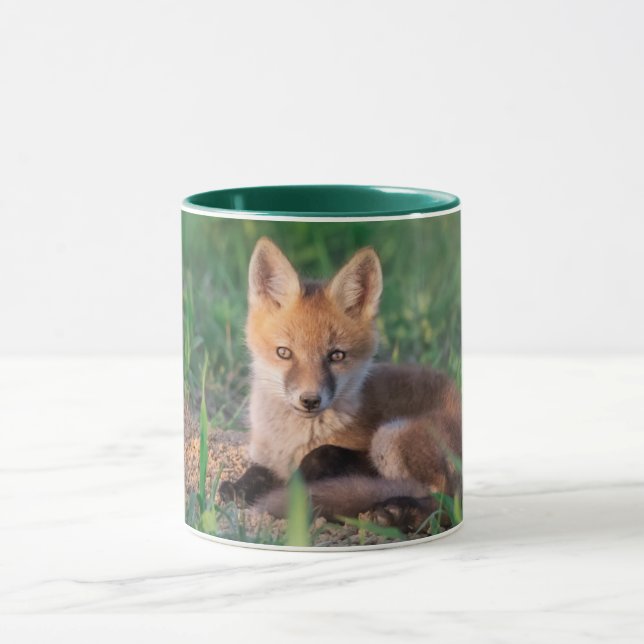 Cutest Baby Animals | Red Fox Kit Relaxing Mug (Center)