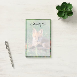 Cutest Baby Animals Red Fox Kit Relaxing Post-it Notes