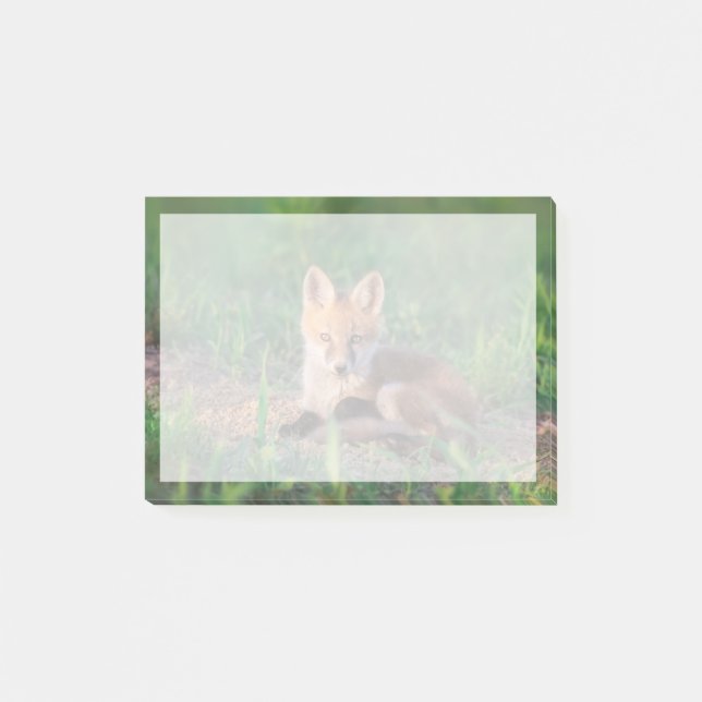 Cutest Baby Animals | Red Fox Kit Relaxing Post-it Notes (Front)