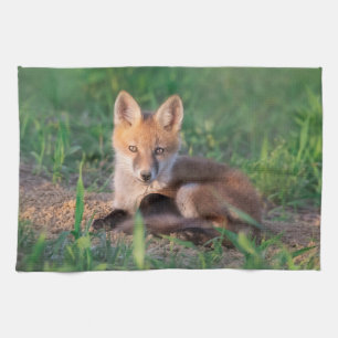 Cutest Baby Animals Red Fox Kit Relaxing Tea Towel