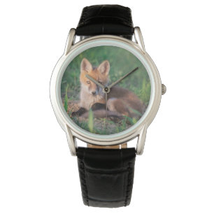 Cutest Baby Animals   Red Fox Kit Relaxing Watch