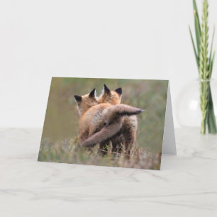 Cutest Baby Animals   Red Fox Kits Locking Tails Card