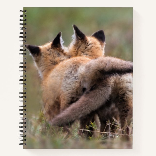 Cutest Baby Animals | Red Fox Kits Locking Tails Notebook (Front)