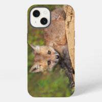Cutest Baby Animals | Red Fox Pup