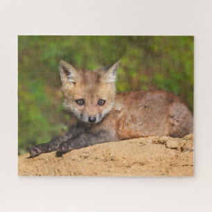 Cutest Baby Animals Red Fox Pup Jigsaw Puzzle