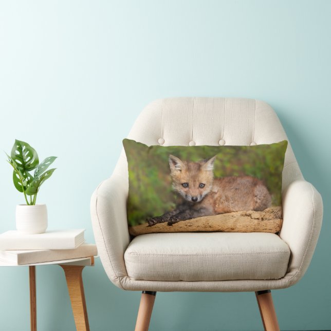 Cutest Baby Animals | Red Fox Pup Lumbar Cushion (Chair)