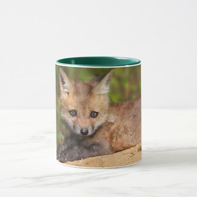 Cutest Baby Animals | Red Fox Pup Mug (Center)