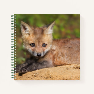 Cutest Baby Animals Red Fox Pup Notebook