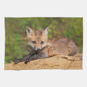 Cutest Baby Animals Red Fox Pup Tea Towel