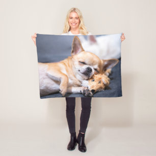 Cutest Baby Animals   Red-haired Chihuahua Dog Fleece Blanket
