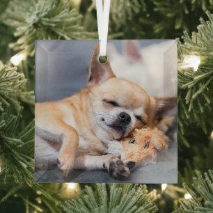 Cutest Baby Animals   Red-haired Chihuahua Dog Glass Tree Decoration