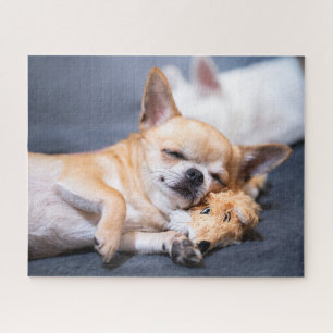 Cutest Baby Animals   Red-haired Chihuahua Dog Jigsaw Puzzle