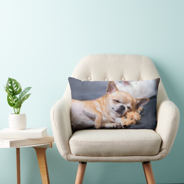 Cutest Baby Animals | Red-haired Chihuahua Dog Lumbar Cushion (Chair)