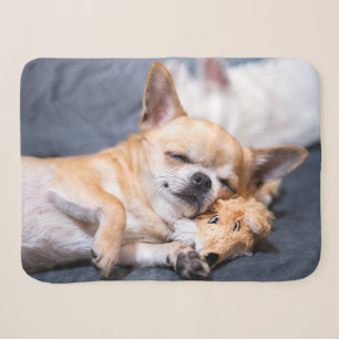 Cutest Baby Animals   Red-haired Chihuahua Dog Sherpa Blanket
