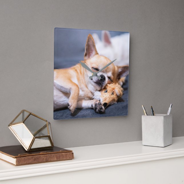 Cutest Baby Animals | Red-haired Chihuahua Dog Square Wall Clock (Office)