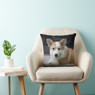 Cutest Baby Animals   Relaxing Corgi Puppy Cushion