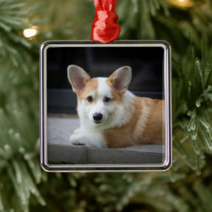 Cutest Baby Animals Relaxing Corgi Puppy Metal Ornament