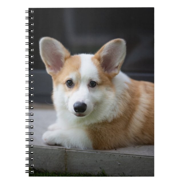 Cutest Baby Animals | Relaxing Corgi Puppy Notebook (Front)