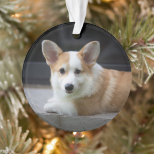 Cutest Baby Animals Relaxing Corgi Puppy Ornament