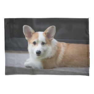 Cutest Baby Animals Relaxing Corgi Puppy Pillowcase