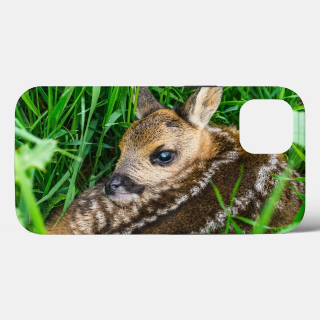 Cutest Baby Animals | Roe Deer Baby Case-Mate iPhone Case (Back (Horizontal))