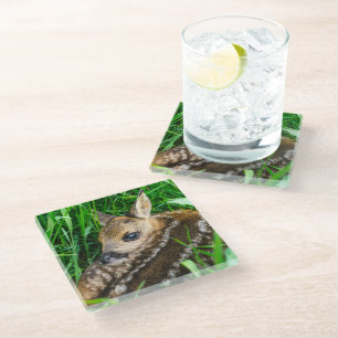 Cutest Baby Animals   Roe Deer Baby Glass Coaster