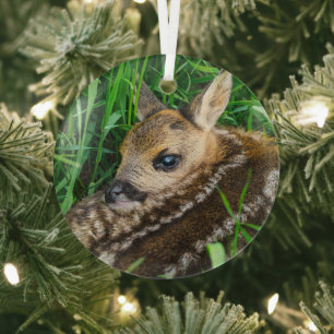 Cutest Baby Animals Roe Deer Baby Glass Tree Decoration