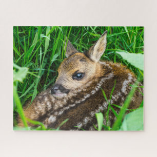 Cutest Baby Animals   Roe Deer Baby Jigsaw Puzzle