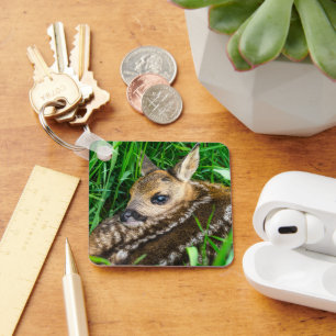 Cutest Baby Animals Roe Deer Baby Key Ring
