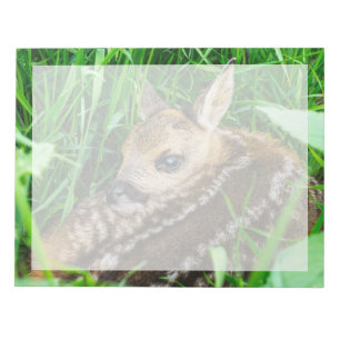 Cutest Baby Animals Roe Deer Baby Notepad