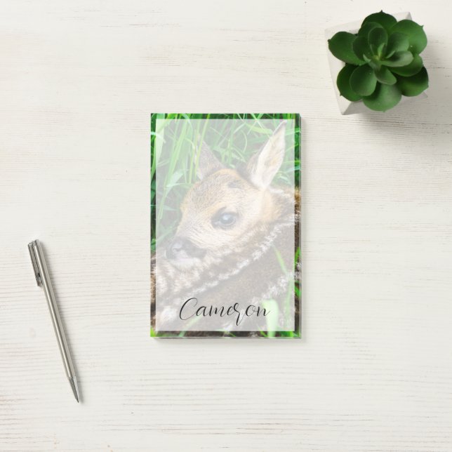 Cutest Baby Animals | Roe Deer Baby Post-it Notes (Office)