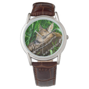 Cutest Baby Animals   Roe Deer Baby Watch