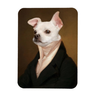 Cutest Baby Animals Royal Chihuahua Portrait Magnet