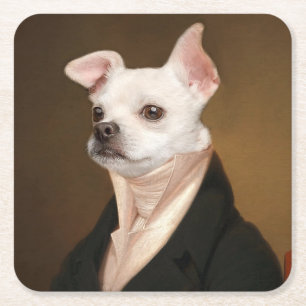 Cutest Baby Animals Royal Chihuahua Portrait Square Paper Coaster