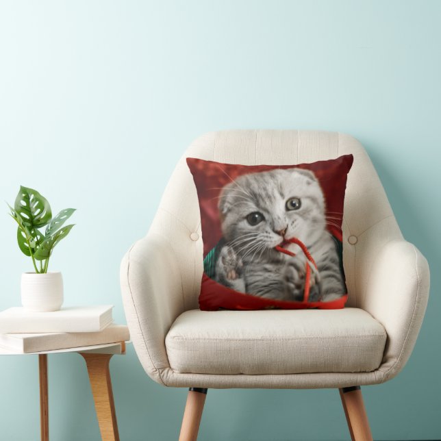 Cutest Baby Animals | Scottish Fold Kitten Cushion (Chair)