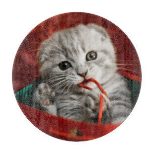 Cutest Baby Animals   Scottish Fold Kitten Cutting Board