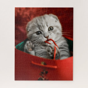 Cutest Baby Animals Scottish Fold Kitten Jigsaw Puzzle