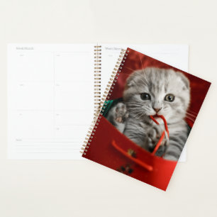 Cutest Baby Animals Scottish Fold Kitten Planner