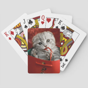 Cutest Baby Animals   Scottish Fold Kitten Playing Cards