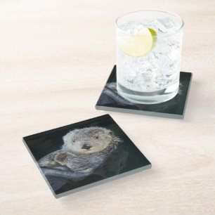 Cutest Baby Animals Sea Otter Floating Glass Coaster