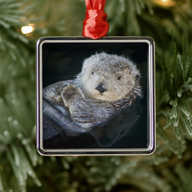 Cutest Baby Animals | Sea Otter Floating Metal Ornament (Tree)