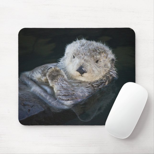 Cutest Baby Animals | Sea Otter Floating Mouse Pad (With Mouse)