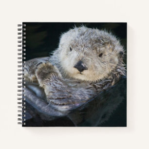 Cutest Baby Animals Sea Otter Floating Notebook