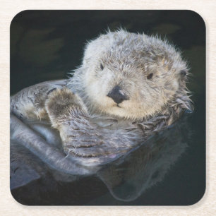 Cutest Baby Animals Sea Otter Floating Square Paper Coaster