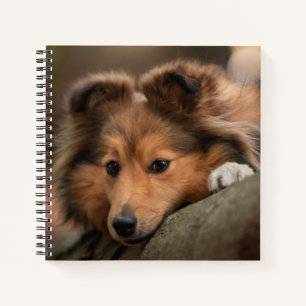 Cutest Baby Animals Shetland Sheepdog Puppy Notebook