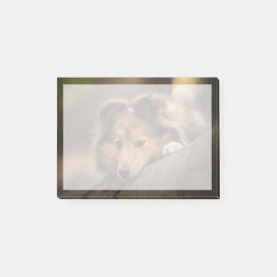 Cutest Baby Animals Shetland Sheepdog Puppy Post-it Notes