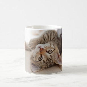 Cutest Baby Animals Shorthair Tabby Kitten Coffee Mug