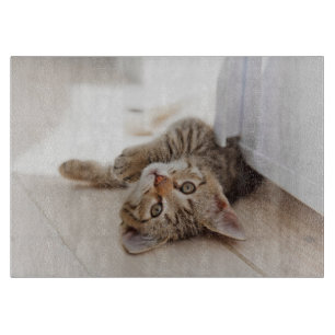 Cutest Baby Animals Shorthair Tabby Kitten Cutting Board